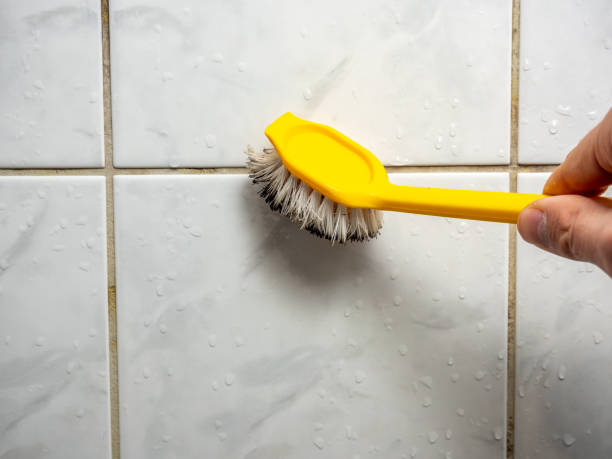 Best Mold Damage Repair  in Cornelia, GA