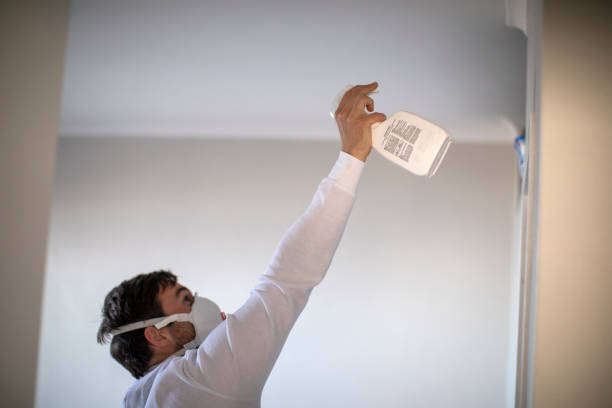 Best Attic Mold Removal  in Cornelia, GA