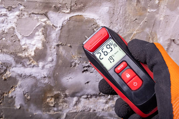 Best Commercial Mold Removal  in Cornelia, GA