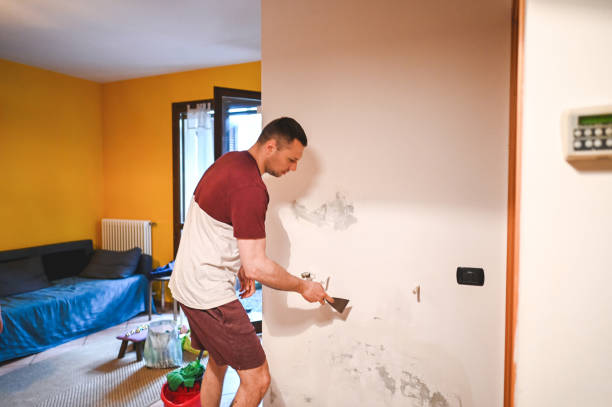 Best Toxic Mold Removal  in Cornelia, GA