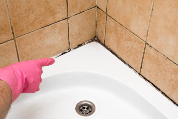 Best Mold Testing  in Cornelia, GA